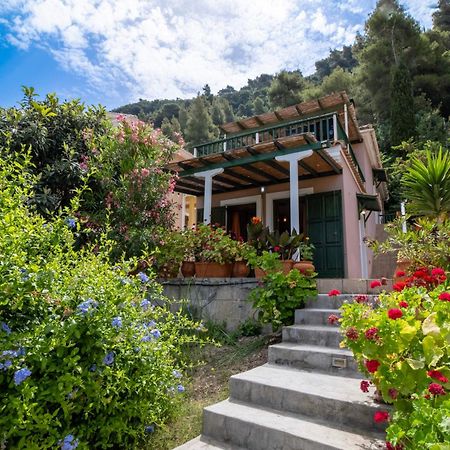 Theasea House Apartment Ayios Nikitas Luaran gambar