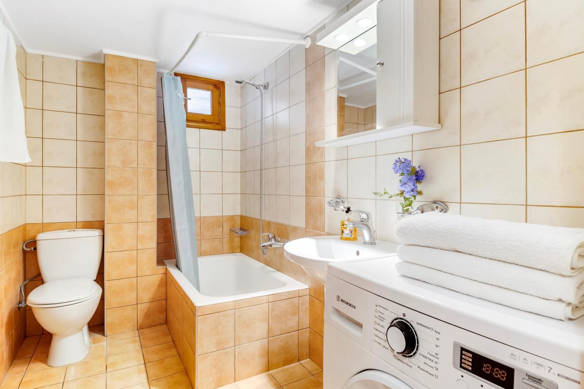 Theasea House Apartment Ayios Nikitas Luaran gambar