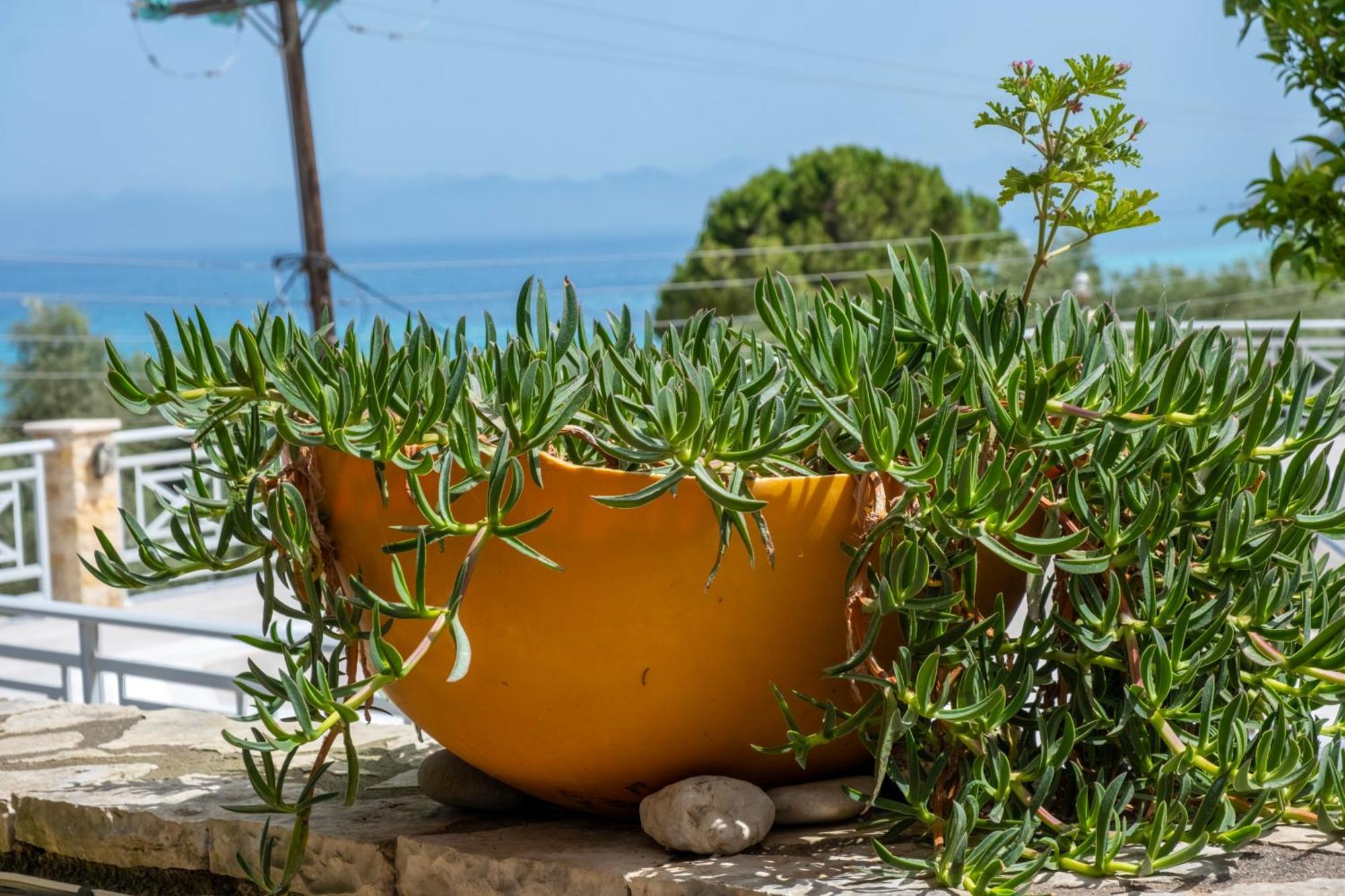 Theasea House Apartment Ayios Nikitas Luaran gambar