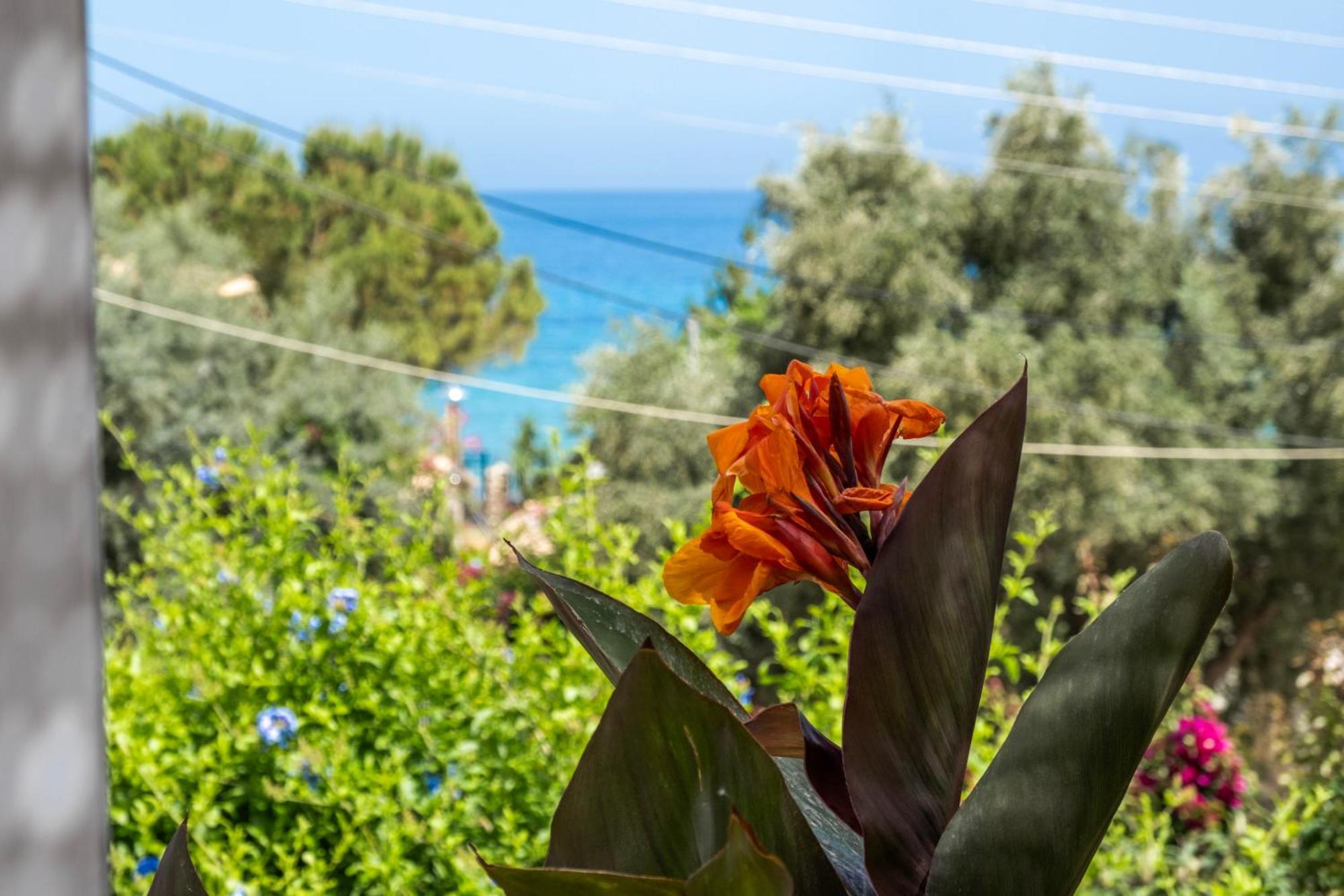 Theasea House Apartment Ayios Nikitas Luaran gambar